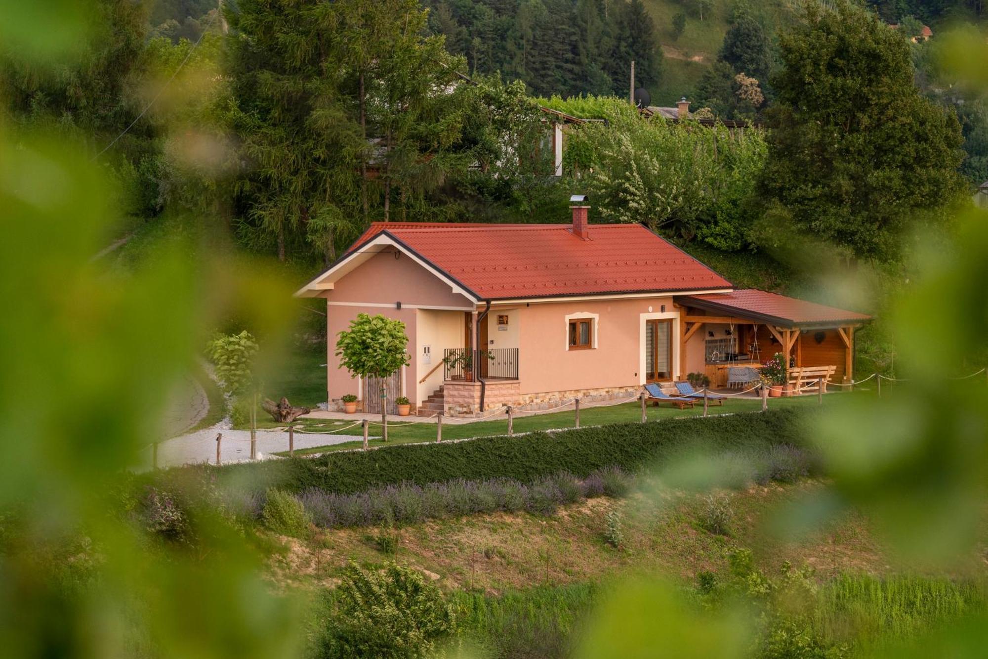 Hill Cottage Haloze Gruskovec Exterior photo